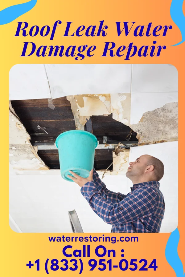 Roof Leak Water Damage Repair in Wittenberg, WI