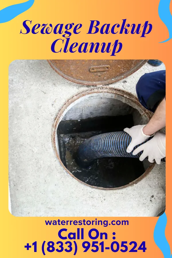Sewage Backup Cleanup in Wittenberg, WI
